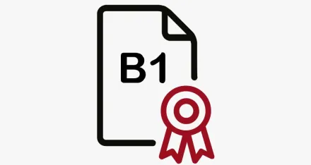 Icon Diplomanerkennung Deutschniveau B1